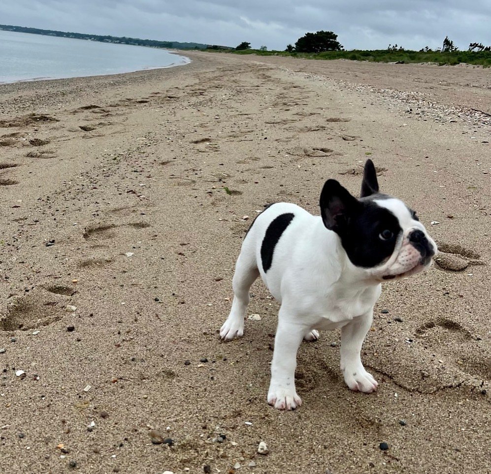 Bella photo 2