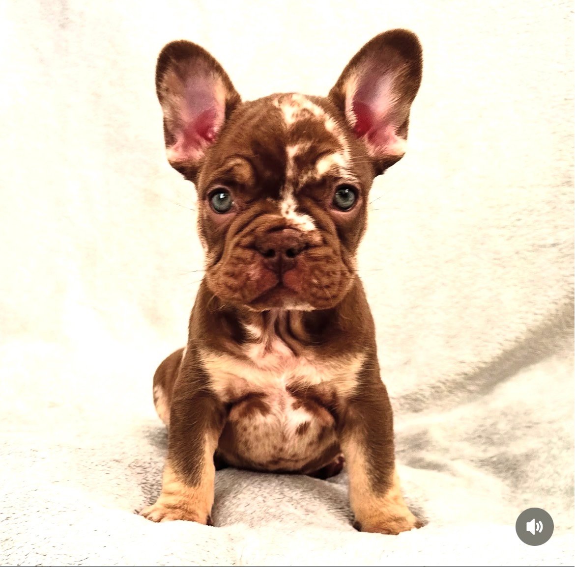 Coco photo 2