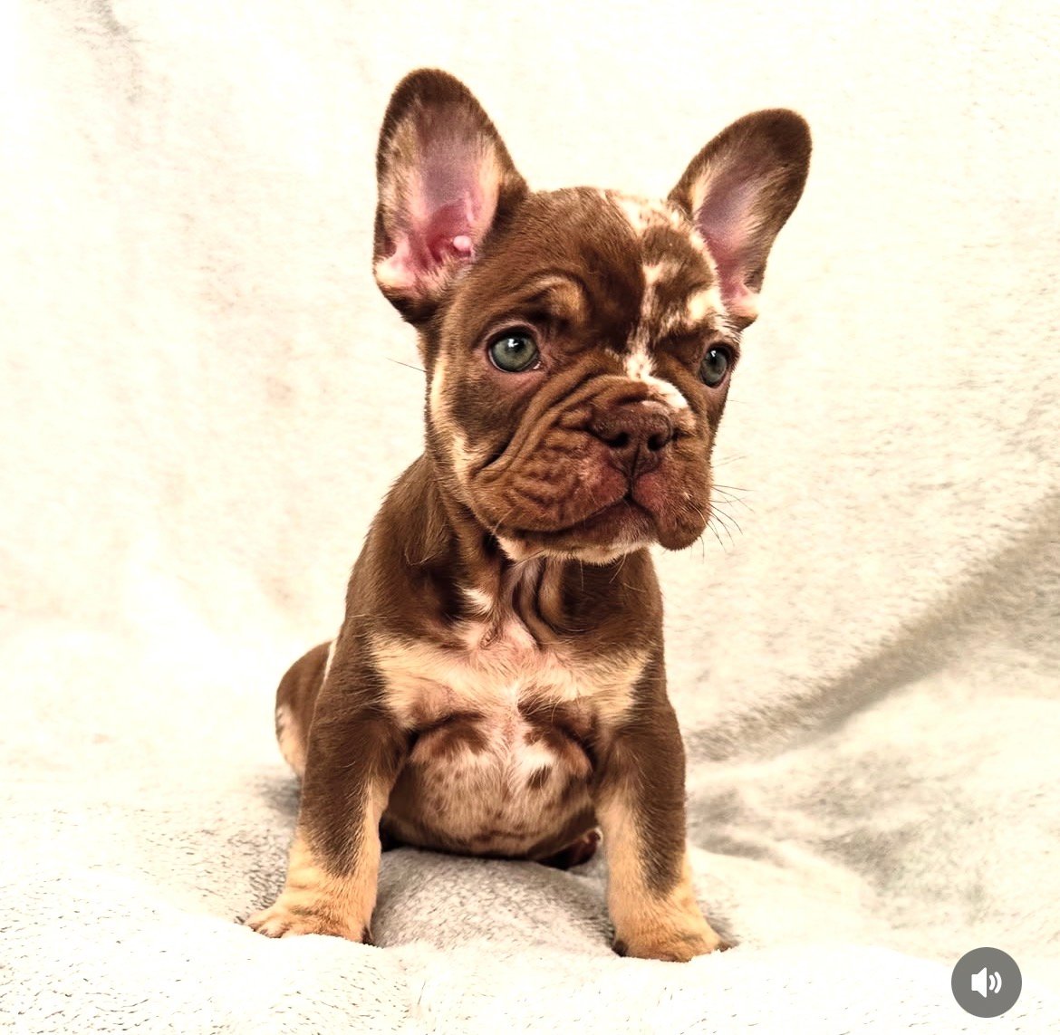 Coco photo 3