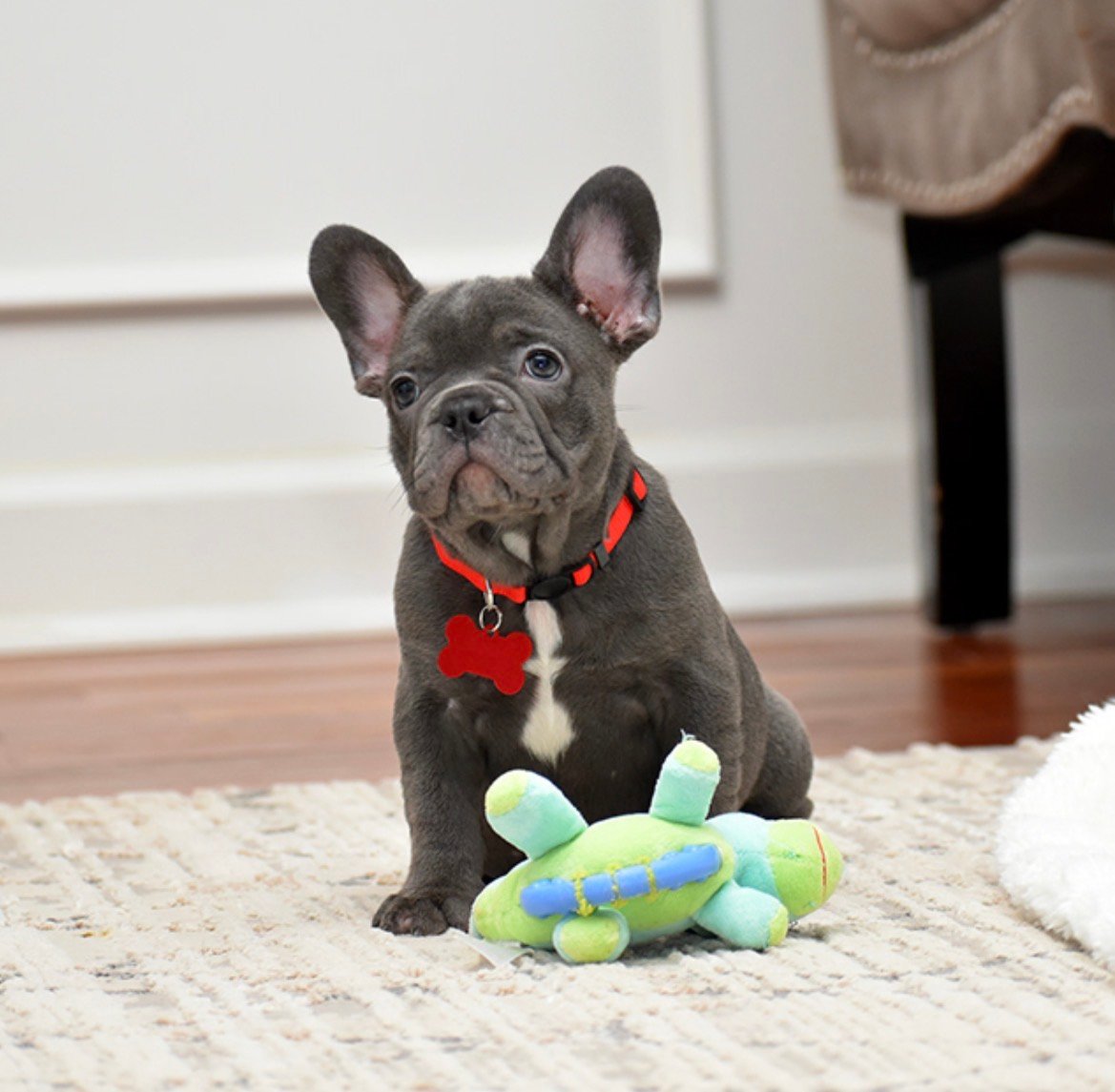 Finn photo 2